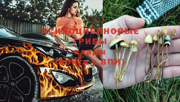 МДМА Новозыбков