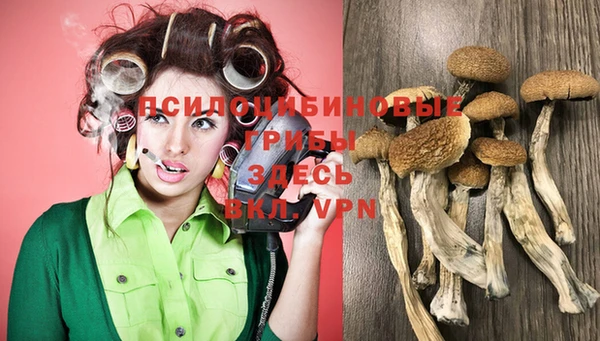 МДМА Новозыбков